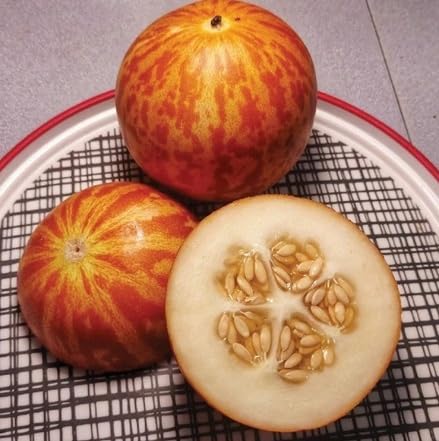 Red Ginseng Melon Seeds – Heirloom, Non-GMO, High Germination Organic Garden Seeds