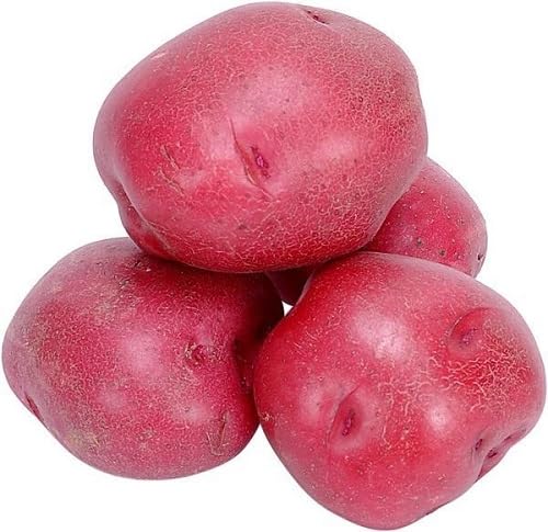 Pink Batatas Potato Seeds – Heirloom, Non-GMO, High Germination Organic Garden Seeds Planting