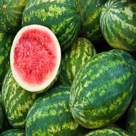 Watermelon Seeds – Heirloom, Non-GMO, High Germination Organic Garden Seeds