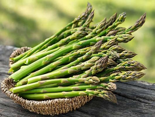Green Asparagus Seeds – Heirloom, Non-GMO, High Germination Organic Garden Seeds Planting