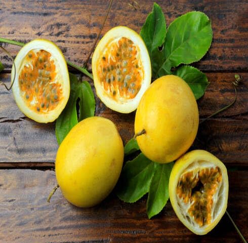 Yellow Passionfruit Seeds Heirloom Non-GMO High Germination Organic Garden Seeds for Planting