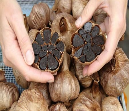 Garlic herb seeds