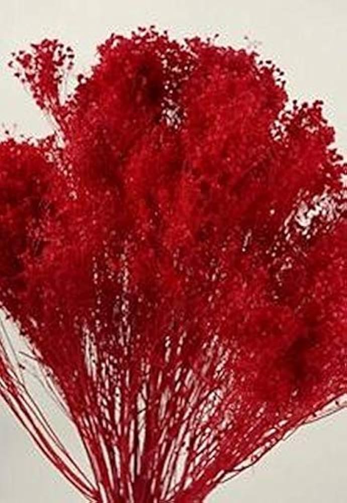 deep carmine flower seeds