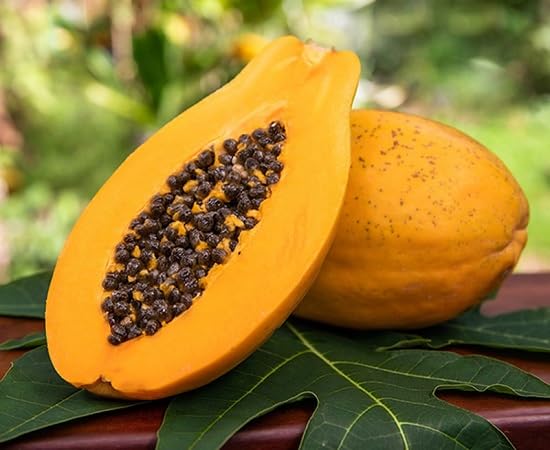 Yellow Papaya Seeds – Heirloom, Non-GMO, High Germination Organic Garden Seeds