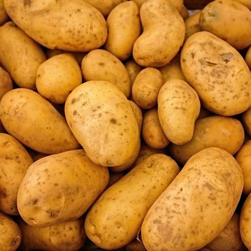 Potato Brown Seeds – Heirloom, Non-GMO, High Germination Organic Garden Seeds Planting