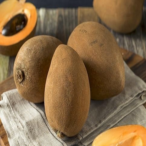 Mamey Seeds – Heirloom, Non-GMO, High Germination Organic Garden Seeds