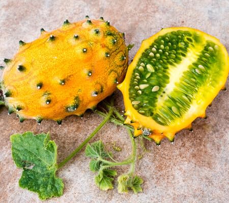 Metuliferus Seeds – Heirloom, Non-GMO, High Germination Organic Garden Seeds