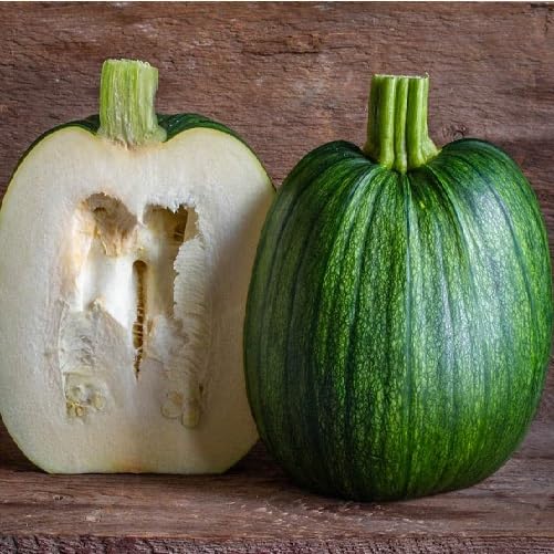 Green Pumpkin Seeds – Heirloom, Non-GMO, High Germination Organic Garden Seeds Planting