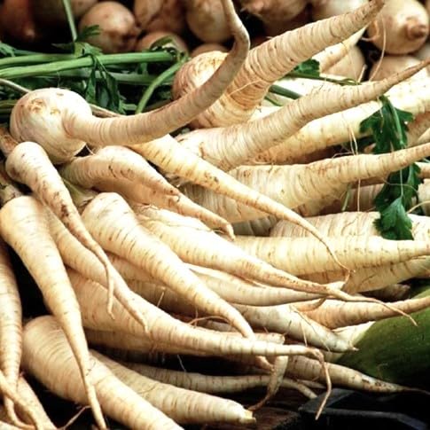 Turga Seeds – Heirloom, Non-GMO, High Germination Organic Garden Seeds Planting