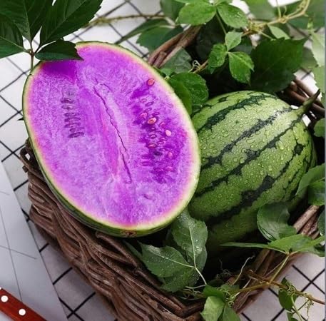 Yellow Watermelon Seeds for Planting | Heirloom Non-GMO Organic Garden Seeds