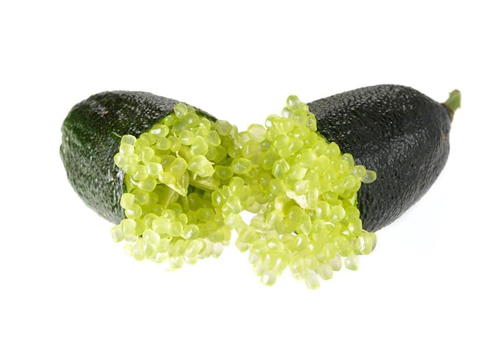 Green Finger Lime Seeds – Heirloom, Non-GMO, High Germination Organic Garden Seeds