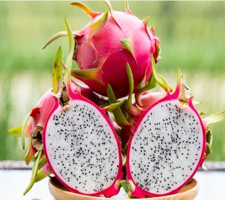 Dragon Seeds – Heirloom, Non-GMO, High Germination Organic Garden Seeds