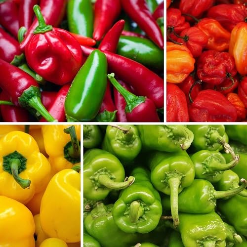 Mixed Hot Pepper Seeds Heirloom Non-GMO High Germination Organic Garden Seeds for Planting
