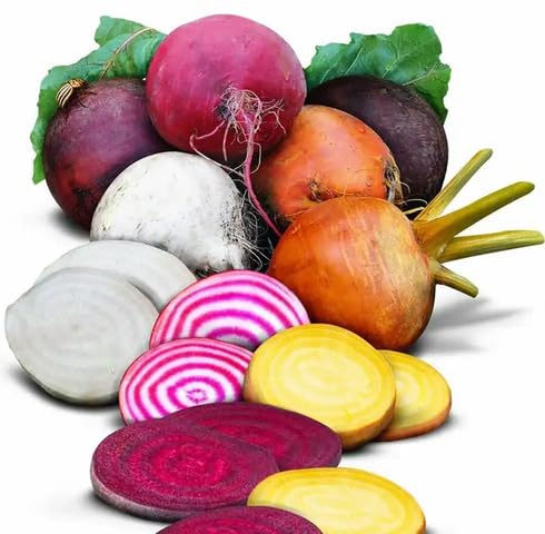 Mixed Beetroot Seeds – Heirloom, Non-GMO, High Germination Organic Garden Seeds Planting