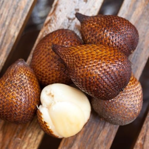 Salak Seeds – Heirloom, Non-GMO, High Germination Organic Garden Seeds