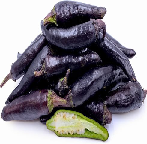 Purple Chilli Seeds – Heirloom, Non-GMO, High Germination Organic Garden Seeds Planting