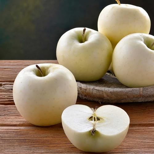 Apple Seeds White Heirloom Non-GMO High Germination Organic Garden Seeds for Planting
