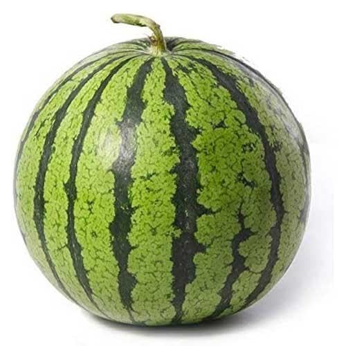 Green Watermelon Seeds – Heirloom, Non-GMO, High Germination Organic Garden Seeds