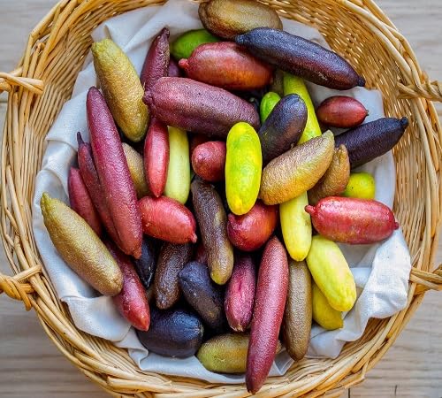 Finger Lime Fruit Seeds – Heirloom, Non-GMO, High Germination Organic Garden Seeds