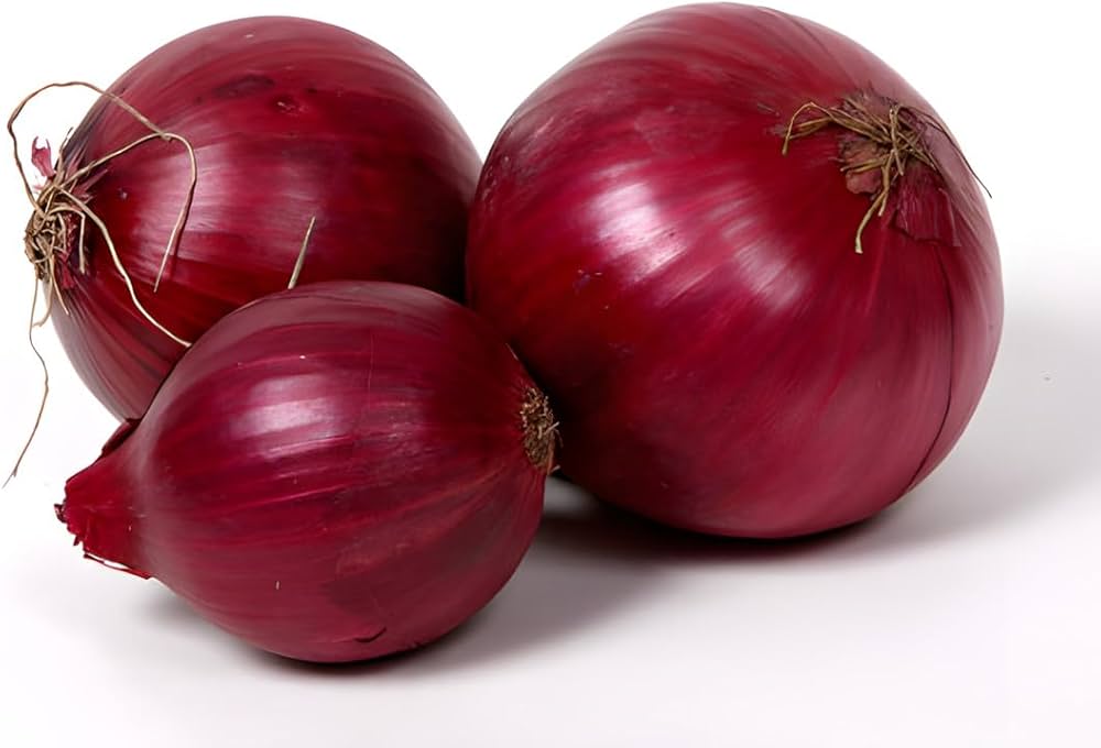 onion allium flower seeds