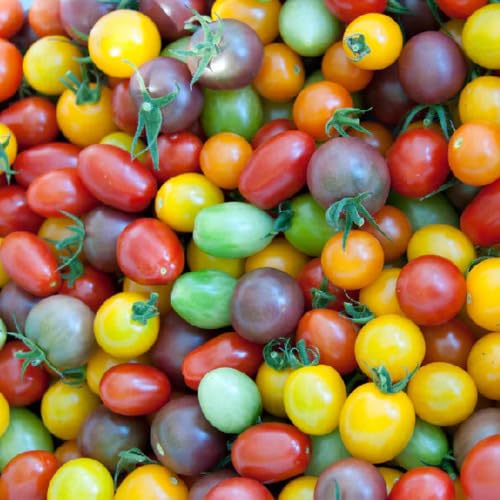 tomato heirloom non-gmo seeds