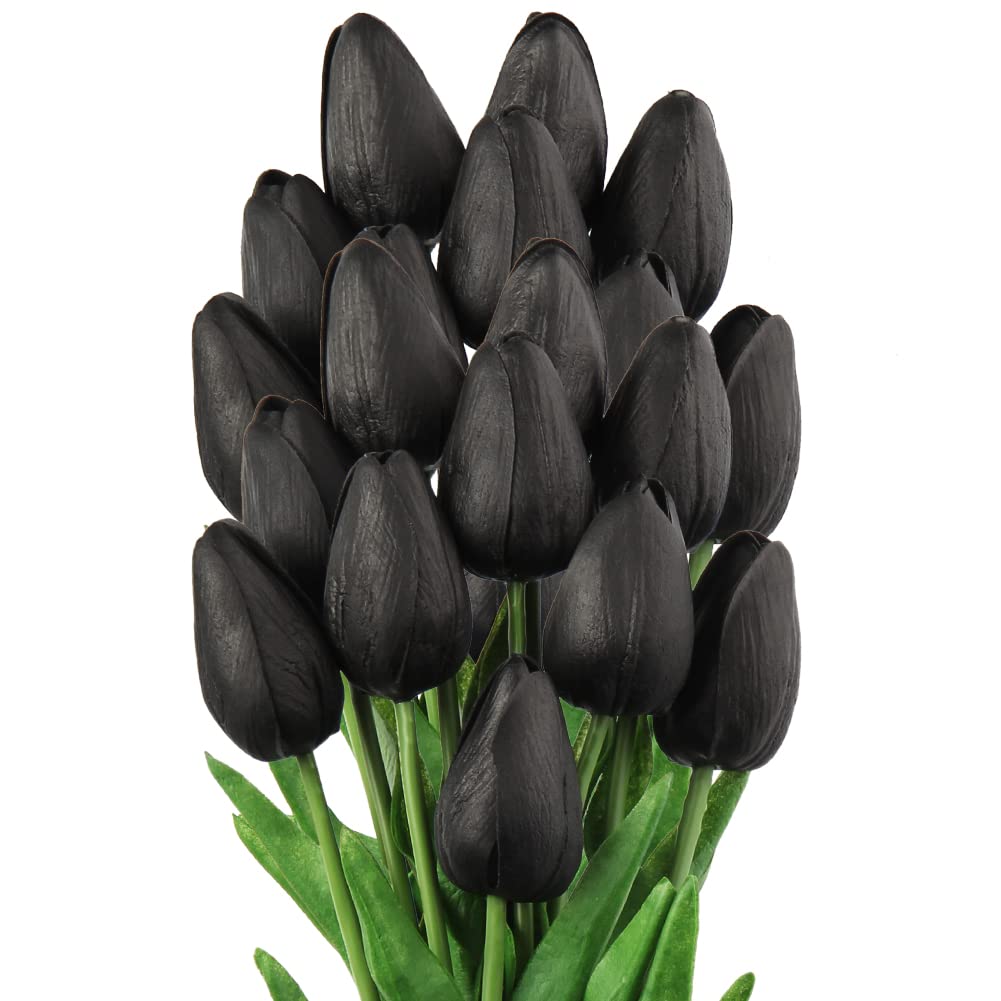 Black Tulip Flower Seeds for Planting – Heirloom Non-GMO High Germination Seeds