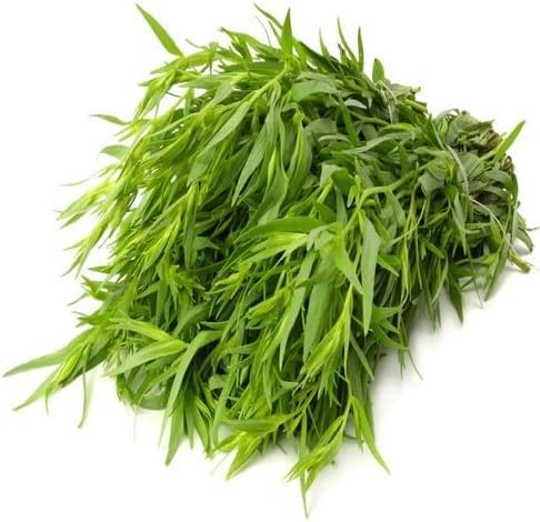 green tarragon flower seeds
