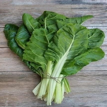 Grüner Mangold Samen – Alte Sorte, gentechnikfrei, hohe Keimrate Bio-Gartensamen zur Pflanzung