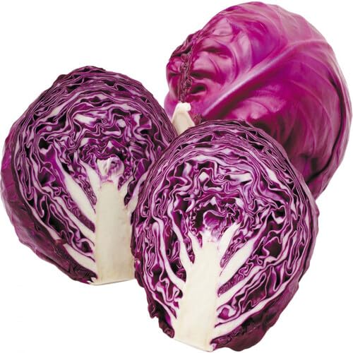 Purple Cabbage Seeds – Heirloom, Non-GMO, High Germination Organic Garden Seeds Planting