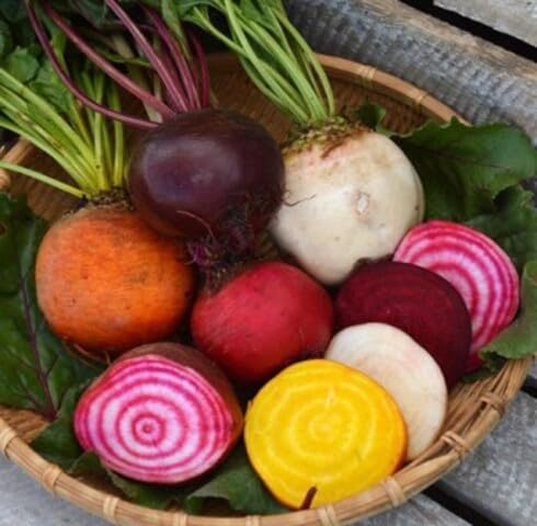 Mixed Beetroot Seeds – Heirloom, Non-GMO, High Germination Organic Garden Seeds Planting