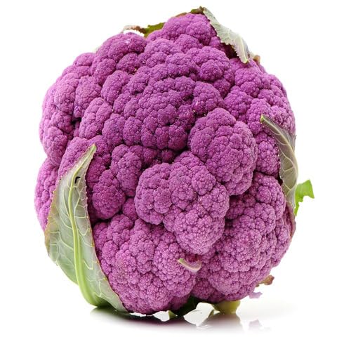 Purple Broccoli Seeds – Heirloom, Non-GMO, High Germination Organic Garden Seeds Planting