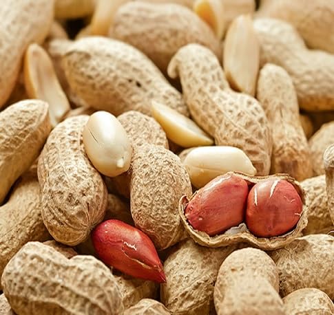Peanut Seeds – Heirloom, Non-GMO, High Germination Organic Garden Seeds Planting