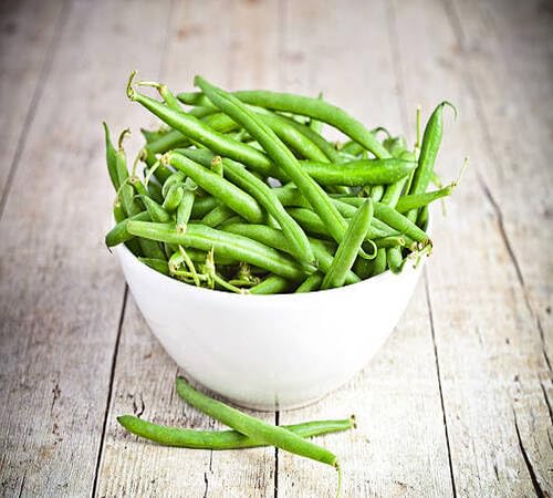 Green Bean Seeds – Heirloom, Non-GMO, High Germination Organic Garden Seeds Planting