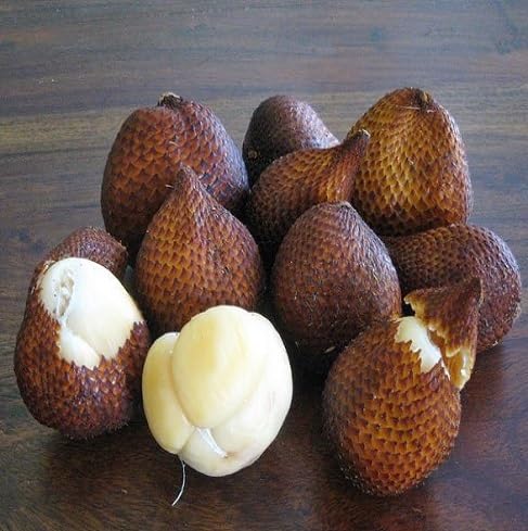 Salak Seeds – Heirloom, Non-GMO, High Germination Organic Garden Seeds