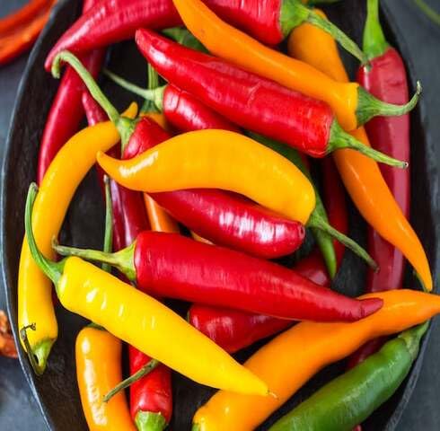 Mixed Chilli Seeds Heirloom Non-GMO High Germination Organic Garden Seeds for Planting