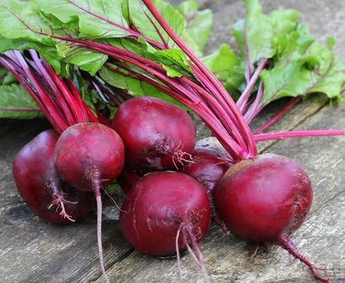 Beetroot Mixed – Heirloom, Non-GMO, High Germination Organic Garden Seeds Planting