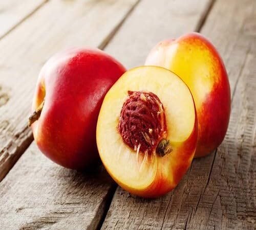 Red Nectarine Seeds – Heirloom, Non-GMO, High Germination Organic Garden Seeds