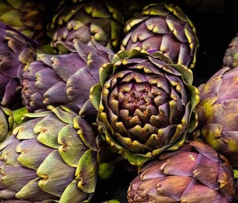 Artichoke – Heirloom, Non-GMO, High Germination Organic Garden Seeds Planting
