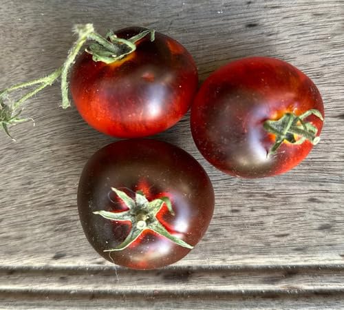 Red Black Tomato Seeds – Heirloom Non-GMO High Germination Organic Garden Seeds