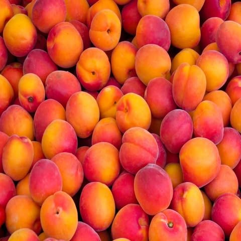 Peach Seeds – Heirloom, Non-GMO, High Germination Organic Garden Seeds