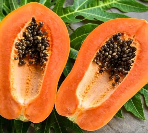 Papaya Seeds Orange – Heirloom, Non-GMO, High Germination Organic Garden Seeds
