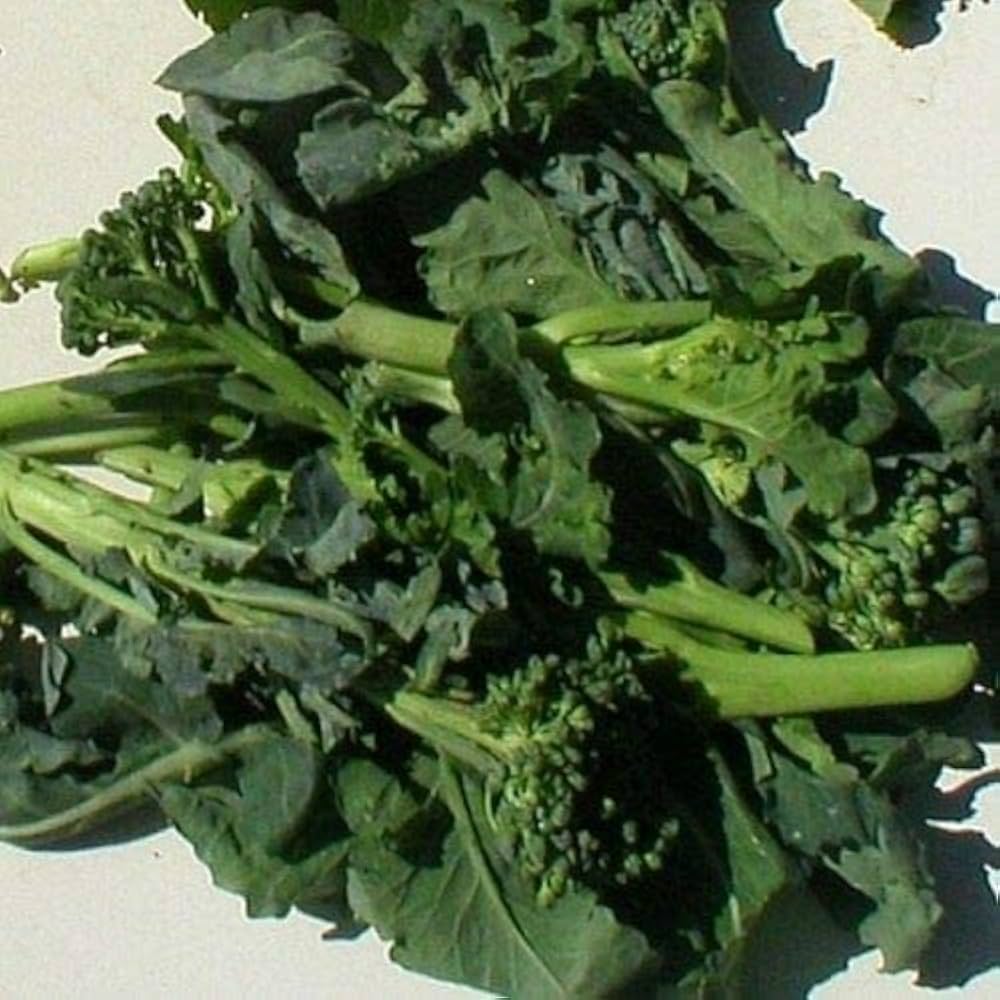 green broccoli flower seeds