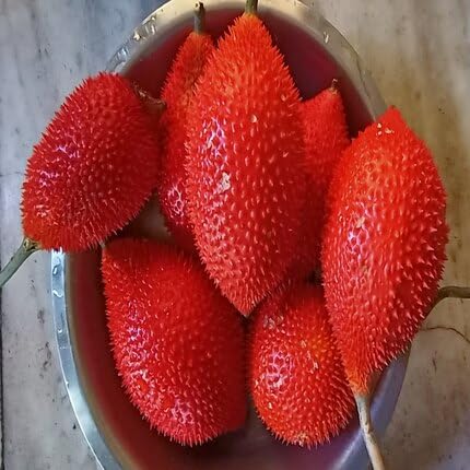 Red Gac Seeds – Heirloom, Non-GMO, High Germination Organic Garden Seeds