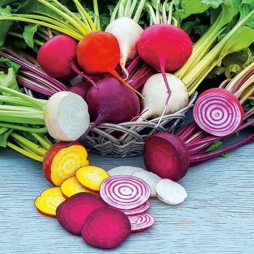 Mixed Beetroot Vegetables Seeds – Heirloom, Non-GMO, High Germination Organic Garden Seeds Planting