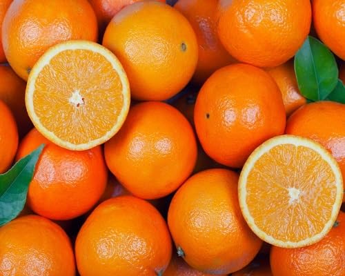 Orange Seeds – Heirloom, Non-GMO, High Germination Organic Garden Seeds