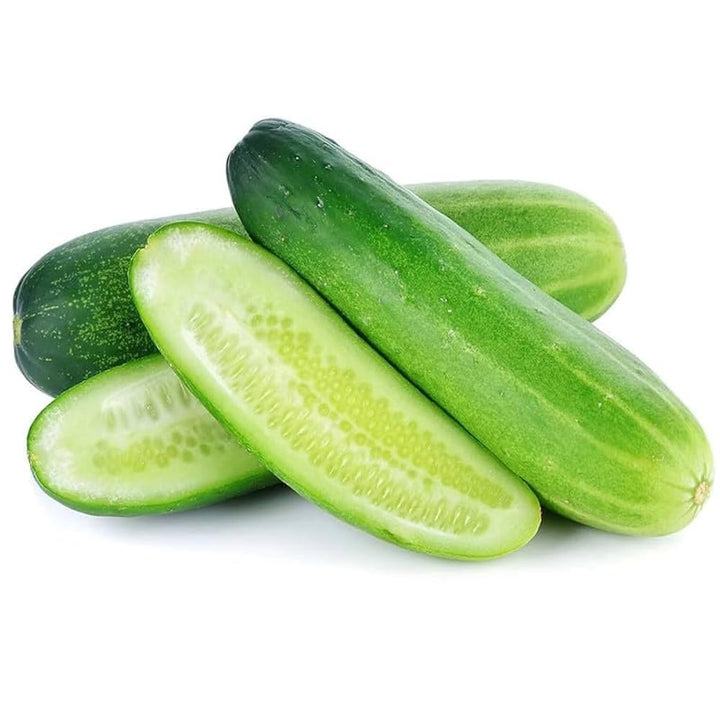 Green Long Cucumber Seeds – Heirloom, Non-GMO, High Germination Organic Garden Seeds Planting