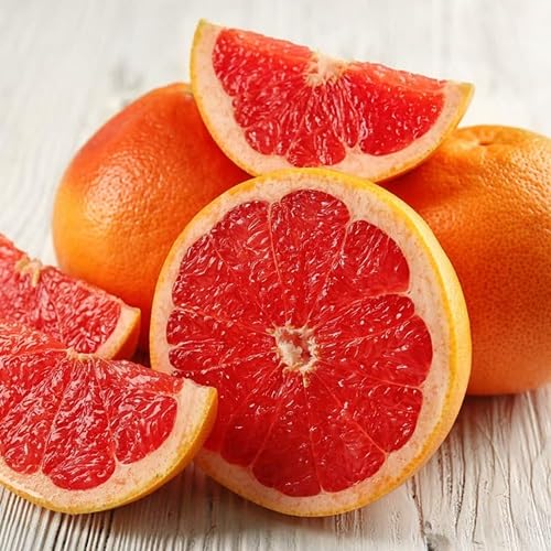 Grapefruit Seeds – Heirloom, Non-GMO, High Germination Organic Garden Seeds