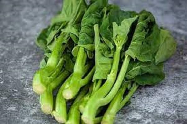 Kale Seeds – Heirloom, Non-GMO, High Germination Organic Garden Seeds Planting