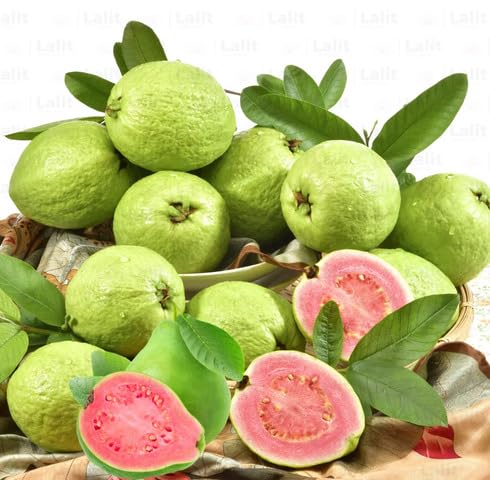 Pink Guava Seeds – Heirloom, Non-GMO, High Germination Organic Garden Seeds