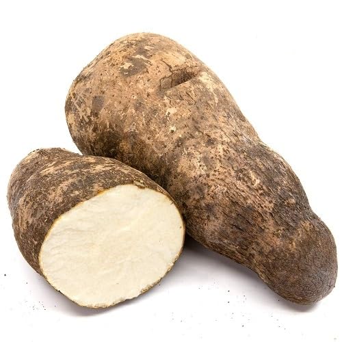 Brown Yam Seeds – Heirloom, Non-GMO, High Germination Organic Garden Seeds Planting